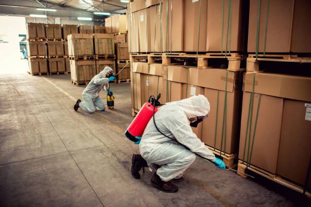 Best Mosquito Control Services  in Smyrna, TN