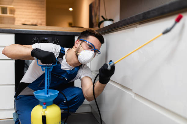 Trusted Smyrna, TN Pest Control Experts