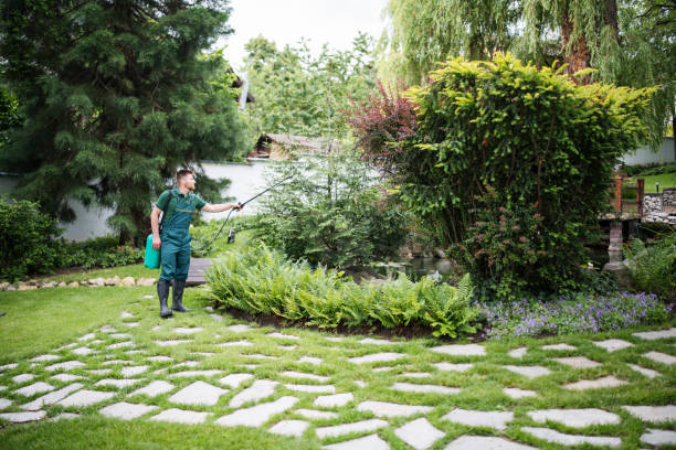 Best Best Pest Control Near Me  in Smyrna, TN