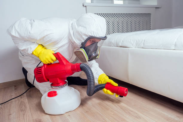 Best Pest Control Near Me in Smyrna, TN
