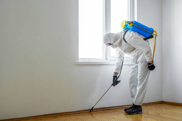 Flea Control Services in Smyrna, TN